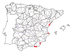 Blicca bjoerkna_mapa.jpg